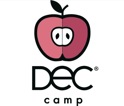 Детский лагерь DEC Republika – развивающий английский лагерь Ровненская область/Сарны